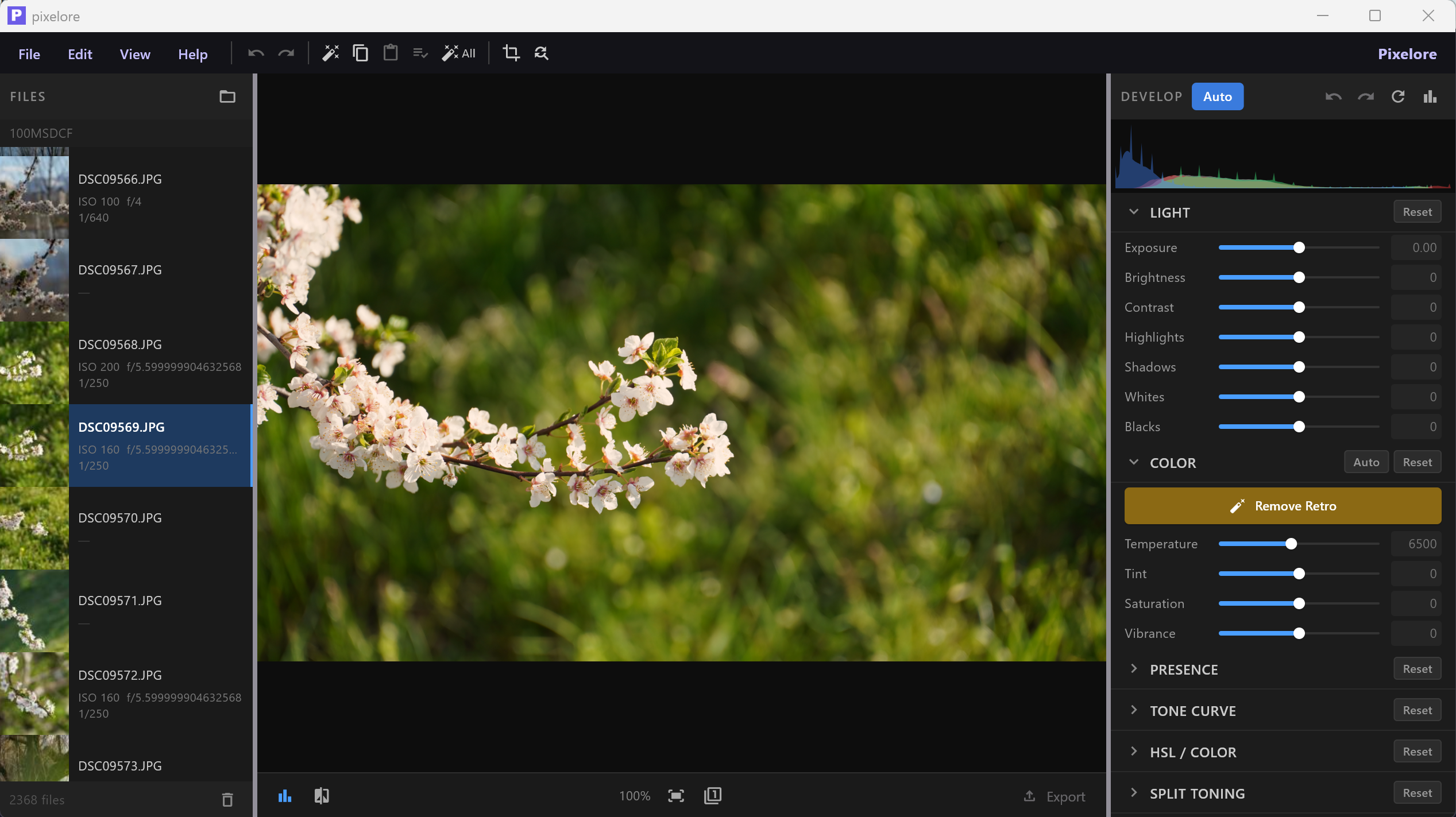 Pixelore — Desktop Photo Editor